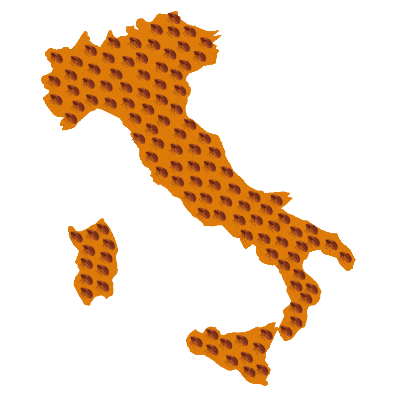 gif disinfestazione pulci italia