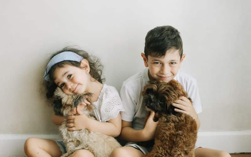 pulci e bambini